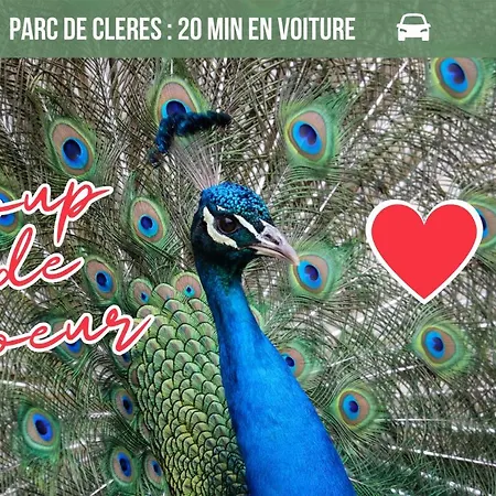 La Maison Des Plantes, Charmante, Atypique Et Cosy Pour 4 Personnes Avec Parking Et Jardin Nyaraló