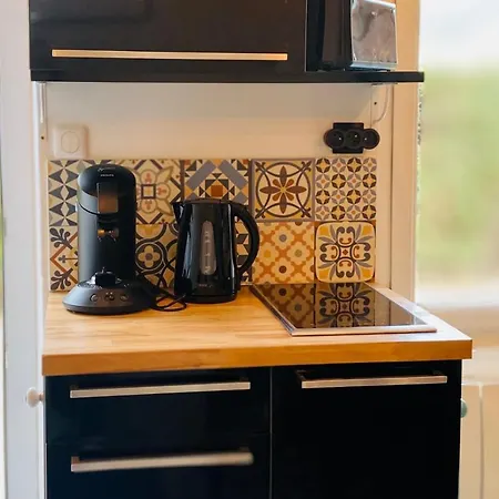 Vakantiehuis La Maison Des Plantes, Charmante, Atypique Et Cosy Pour 4 Personnes Avec Parking Et Jardin Rouen