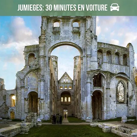 La Maison Des Plantes, Charmante, Atypique Et Cosy Pour 4 Personnes Avec Parking Et Jardin Nyaraló